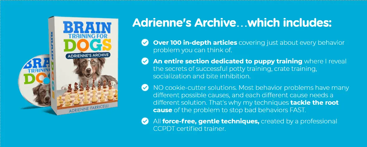 Adrienne's Archive