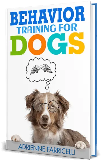 Behavior Training for Dogs