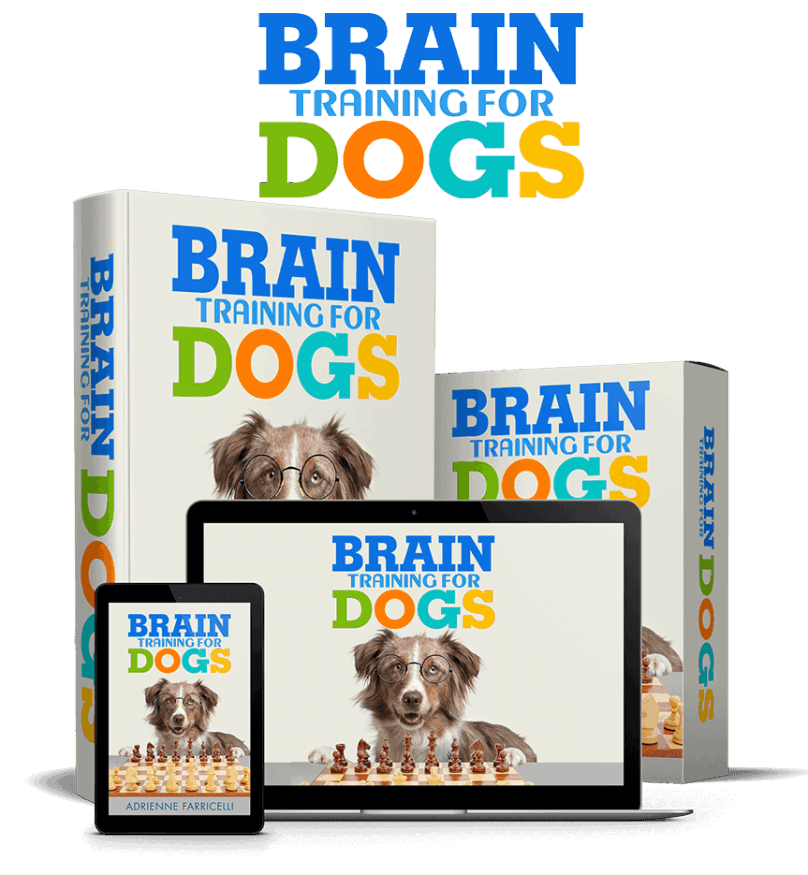 Brain Training for Dogs