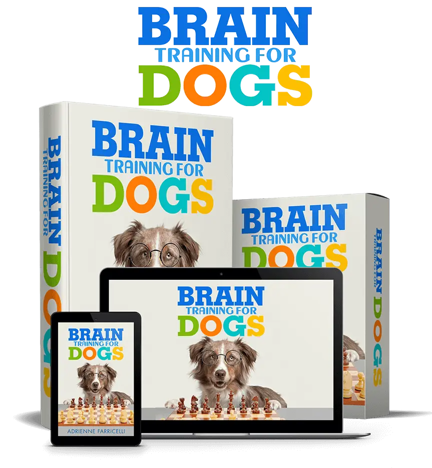 Brain Training for Dogs