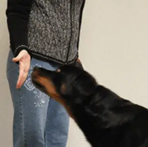femipro - TheHere’s what you’ll learn inside:  Target Training: Teach your dog to focus on you by touching a target with their nose or paw. This skill can even be expanded into fun tricks like ringing a bell, opening doors, or turning off lights.  Eye Contact Made Easy: Discover a simple method to get your dog to look directly into your eyes—building trust, communication, and the foundation for obedience.  The Airplane Game: A quick and fun activity that teaches your dog to see you as the source of rewards and joy, making them more eager to listen and engage.Passion Prescription: Reawakening The Intimacy in Your Marriage