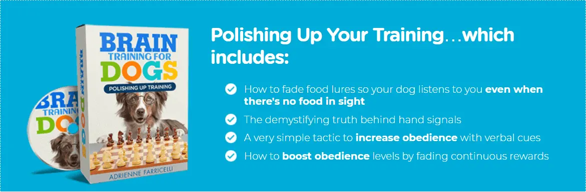 Polishing Up Your Training